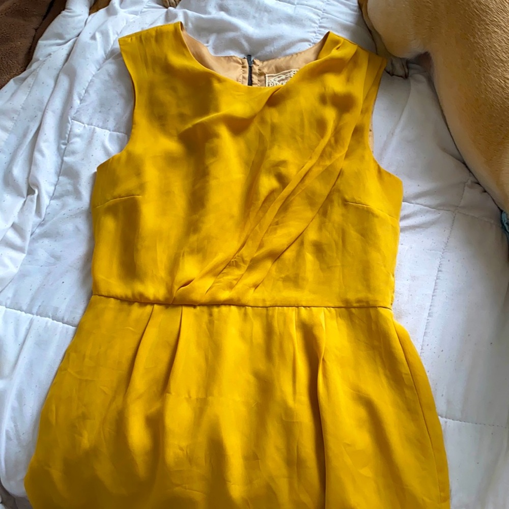 Yellow pink martini for all your cocktail parties!
